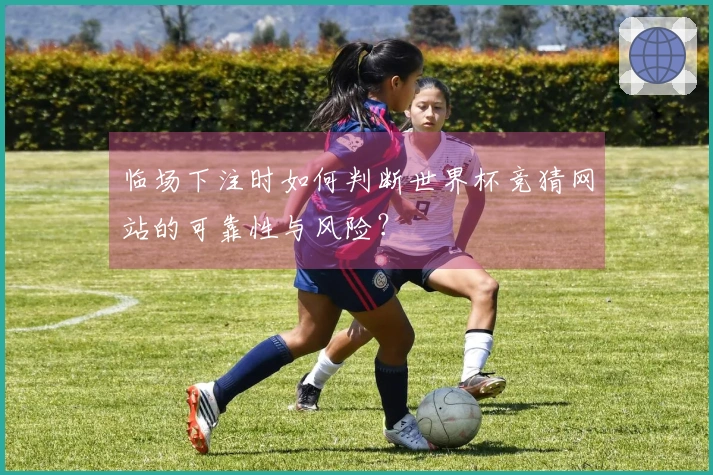 临场下注时如何判断世界杯竞猜网站的可靠性与风险？