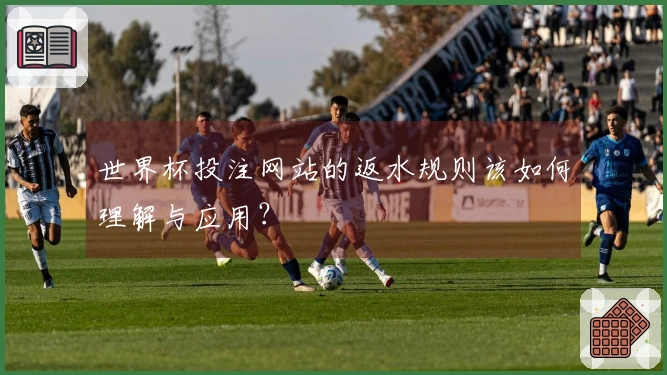 世界杯投注网站的返水规则该如何理解与应用？