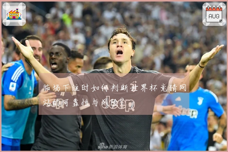 临场下注时如何判断世界杯竞猜网站的可靠性与风险？