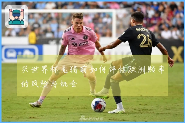 买世界杯竞猜前如何评估欧洲赔率的风险与机会